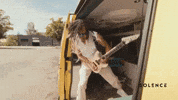 Performing On The Road GIF by Better Noise Music