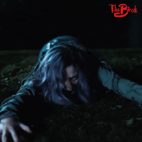 Season 1 Episode 13 GIF by The Birch