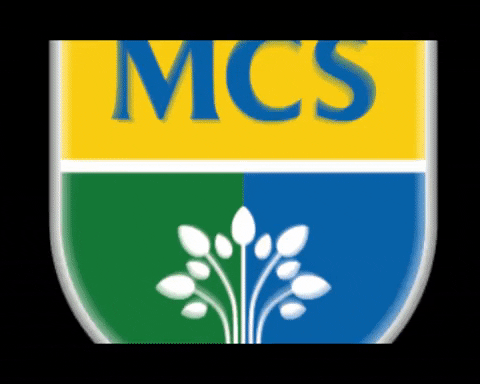 MCS96 giphyupload GIF