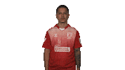 Ssv Jahn Regensburg Vbl Sticker by Bundesliga