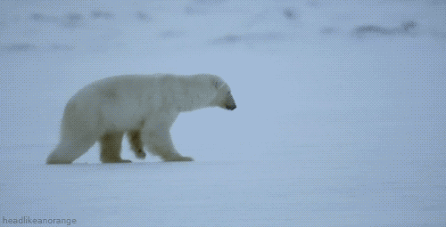 dry GIF