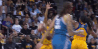 game 3 basketball GIF by WNBA