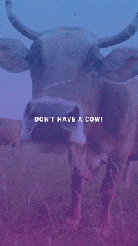 Podcast Cow GIF by Dell Technologies