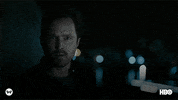GIF by Westworld HBO