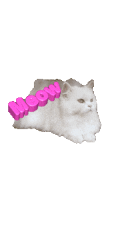 Kitty Meow Sticker by Cat Therapy & Rescue Society