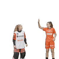 RedAntsWinterthur jump 2023 lisa highfive Sticker