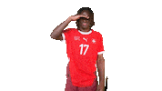 Switzerland Ryan Sticker by Swiss Football Association