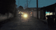 mom + pop music GIF by Lucius