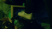 drugs and the internet GIF by Lauv