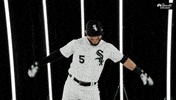 white sox dance GIF by NBC Sports Chicago