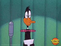 daffy duck no GIF by Looney Tunes