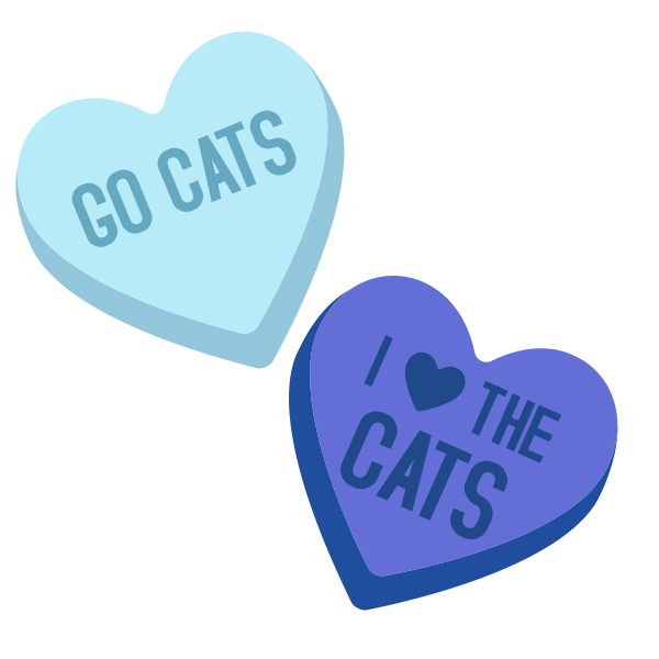 cat love Sticker by University of Kentucky