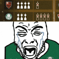Vice Libertadores GIF