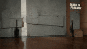 deathinparadiseofficial cat cute sneaky death in paradise GIF