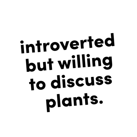 onlyfrond plant plants introvert houseplant Sticker