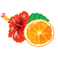 Phoenix Sticker by Share The Bird