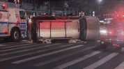 viceland GIF by WEEDIQUETTE
