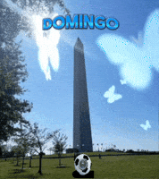 Buenos Dias Felicidad GIF by Murcianys LLC