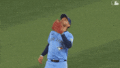 Blue Jays Baseball GIF by Toronto Blue Jays