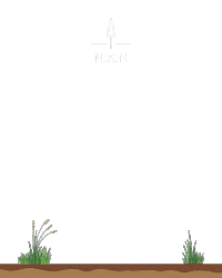 Friday Trees Sticker by NIKIN