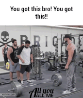 you got this GIF