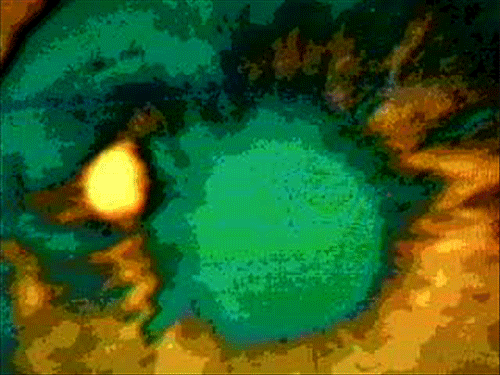 vhs eye GIF by Royal Smith
