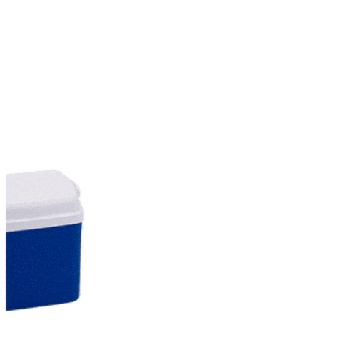Caixa Garrafa Sticker by Soprano