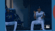 Regular Season Reaction GIF by MLB