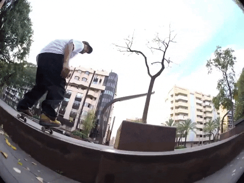 Tiago Lemos Skate GIF by New Balance Numeric