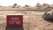 bbcbigcats GIF by BBC