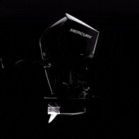 Maythefourthbewithyou Mercurymarine Goboldly GIF by mercurymarine