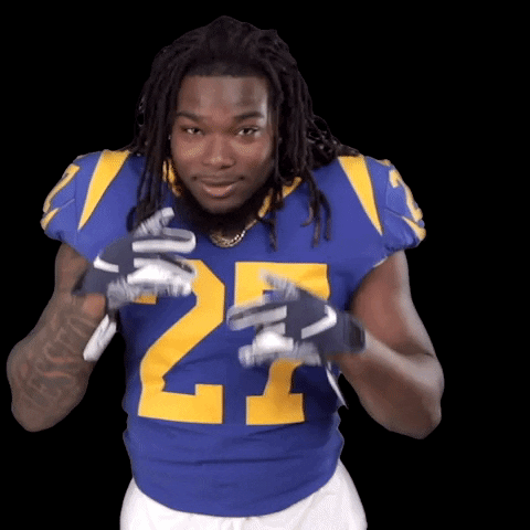 Brush Yourself Off Los Angeles Rams GIF by NFL