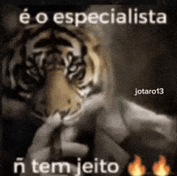 Especialista GIF