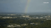viceland GIF by Earthworks