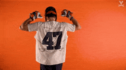 Uvamenslax GIF by Virginia Athletics
