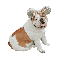 Disney Bulldog Sticker by Addie - University of Redlands Mascot