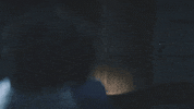 Cobweb Antonystarr GIF by Lionsgate