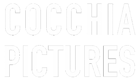 Director Sticker