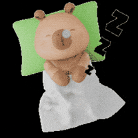 Sleepy Capybara GIF by Miniso Canada