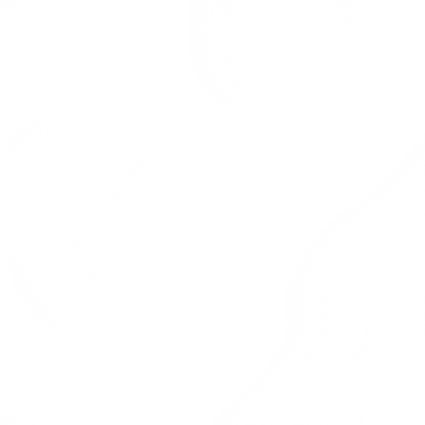 Voting Best Friend Sticker by INTO ACTION