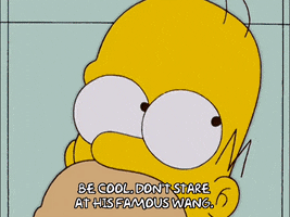 homer simpson GIF