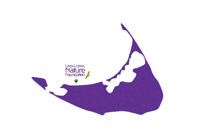 Island Life Sticker by Linda Loring Nature Foundation