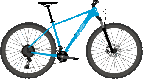 ZweiradWuerdinger giphyupload bike fahrrad fahrradliebe Sticker