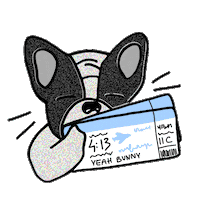 happy dog Sticker by Ivo Adventures