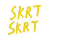 sallychandraa zoom skrt sallychandra Sticker