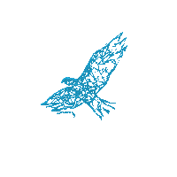 DefenseIntel texas conference san antonio information technology Sticker