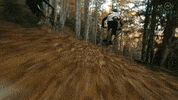 GIF by AirVuz