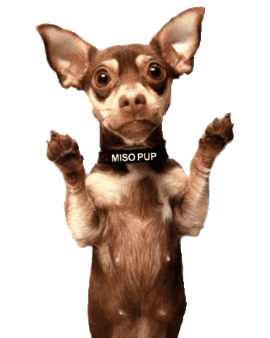 Dog Pupsize Sticker by MISO PUP