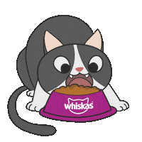 Cat Racao Sticker by Whiskas Brasil