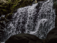 Franchise Unternehmen Pirtek Austria Gmbh GIF by FranchiseONE.de